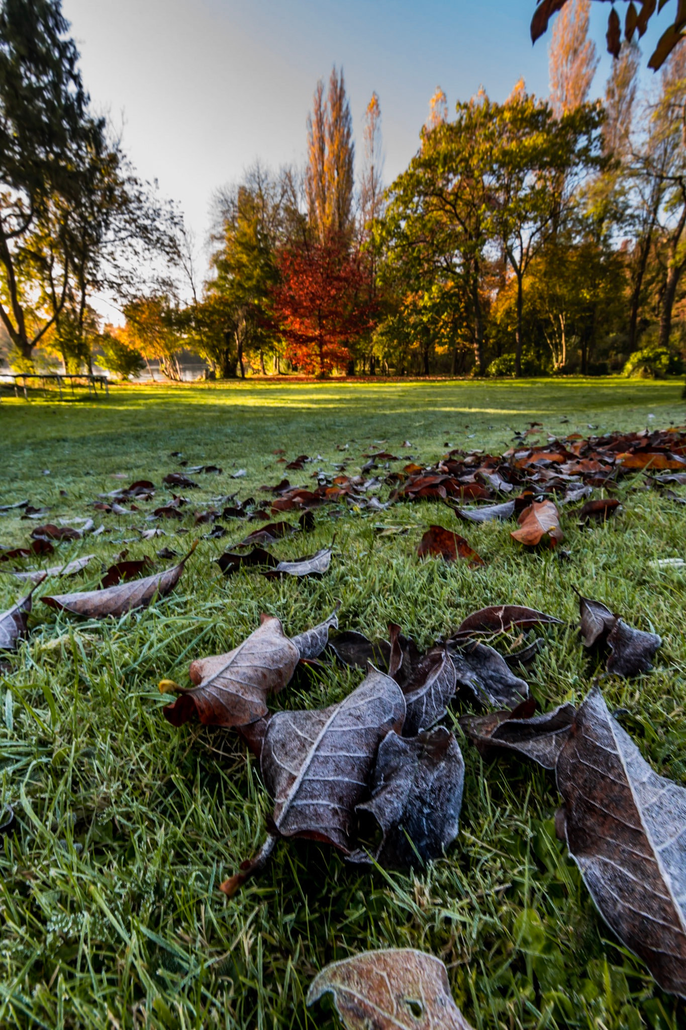 Tokina AT-X 11-20mm F2.8 PRO DX sample photo. Frosty sunrise photography