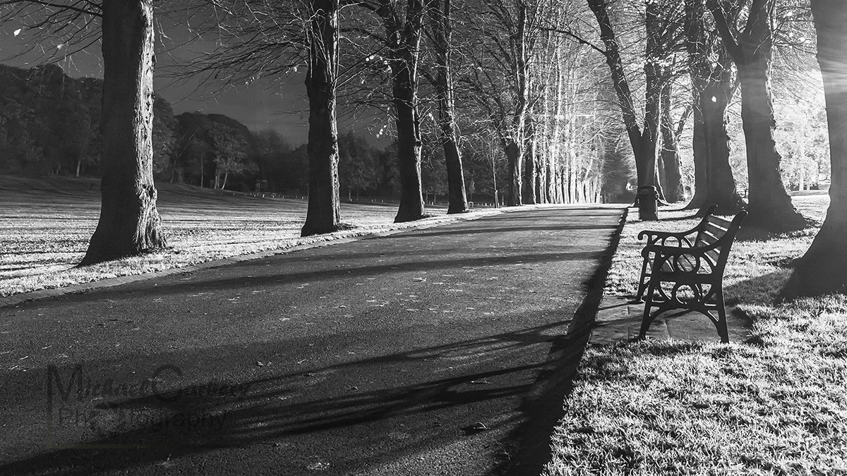 Canon EOS 5D sample photo. The lane photography