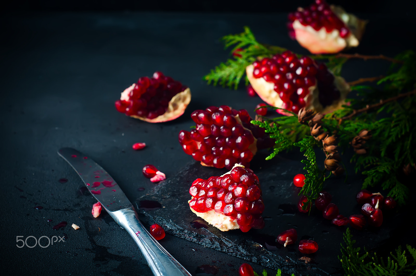 Nikon D90 + AF Nikkor 50mm f/1.8 sample photo. Half pomegranate and  seeds  a branch of spruce photography