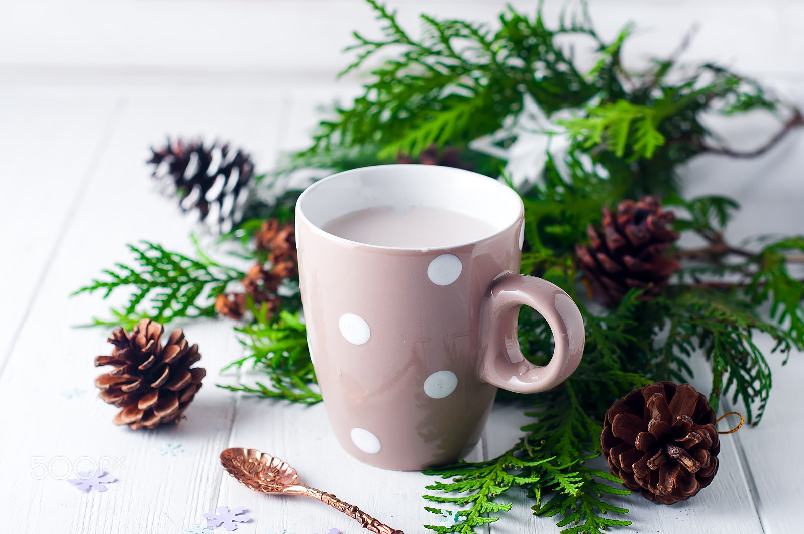 Nikon D90 + AF Nikkor 50mm f/1.8 sample photo. Vintage cup of hot cocoa on wooden background decorated with spruce and pine cones, photography