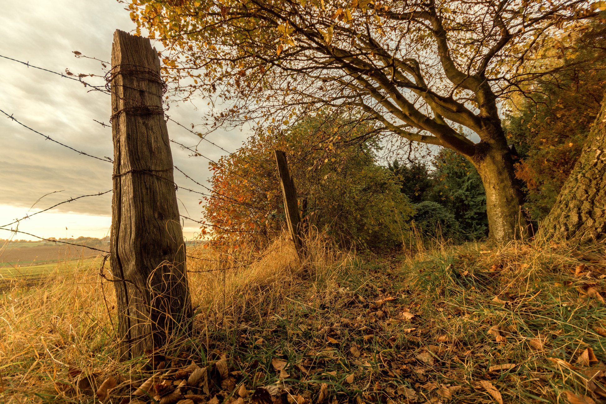 Sigma AF 10-20mm F4-5.6 EX DC sample photo. The autumn files: iii photography