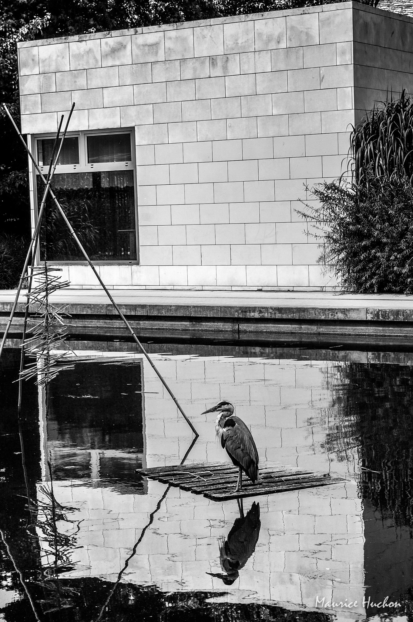 Pentax K100D Super sample photo. Reflets au parc de bercy... (paris) photography