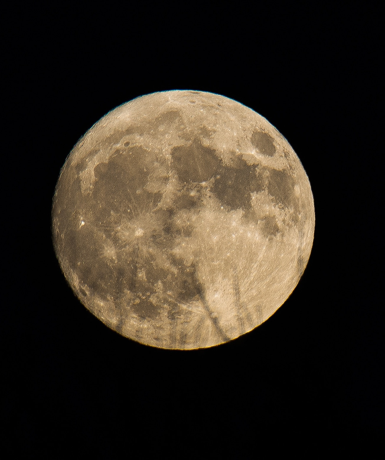 Nikon D600 sample photo. Untitled photography
