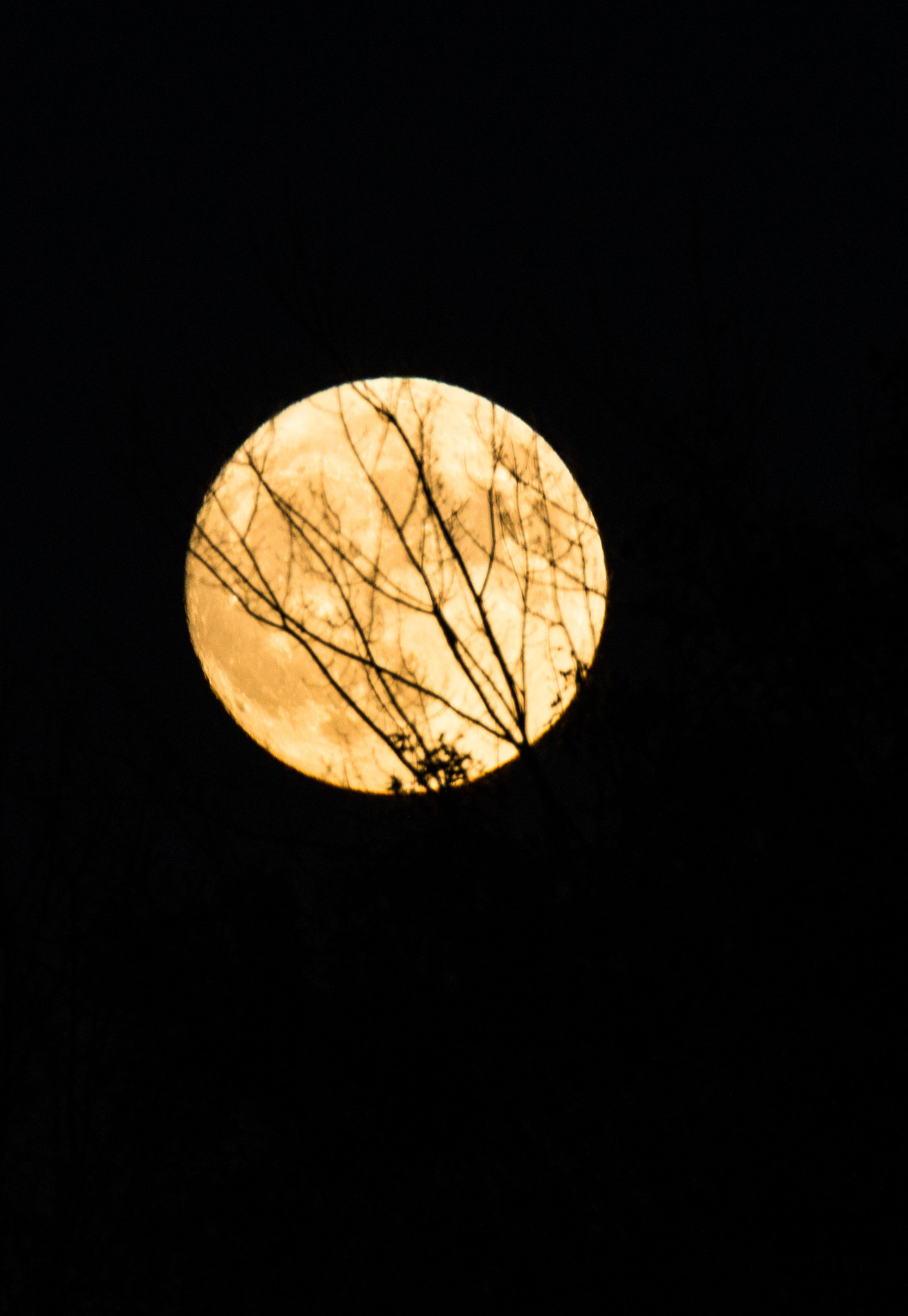 Nikon D600 sample photo. Untitled photography