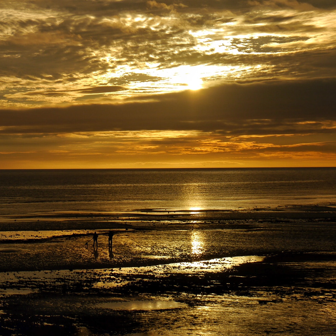 Panasonic Lumix DMC-G5 sample photo. Golden light photography