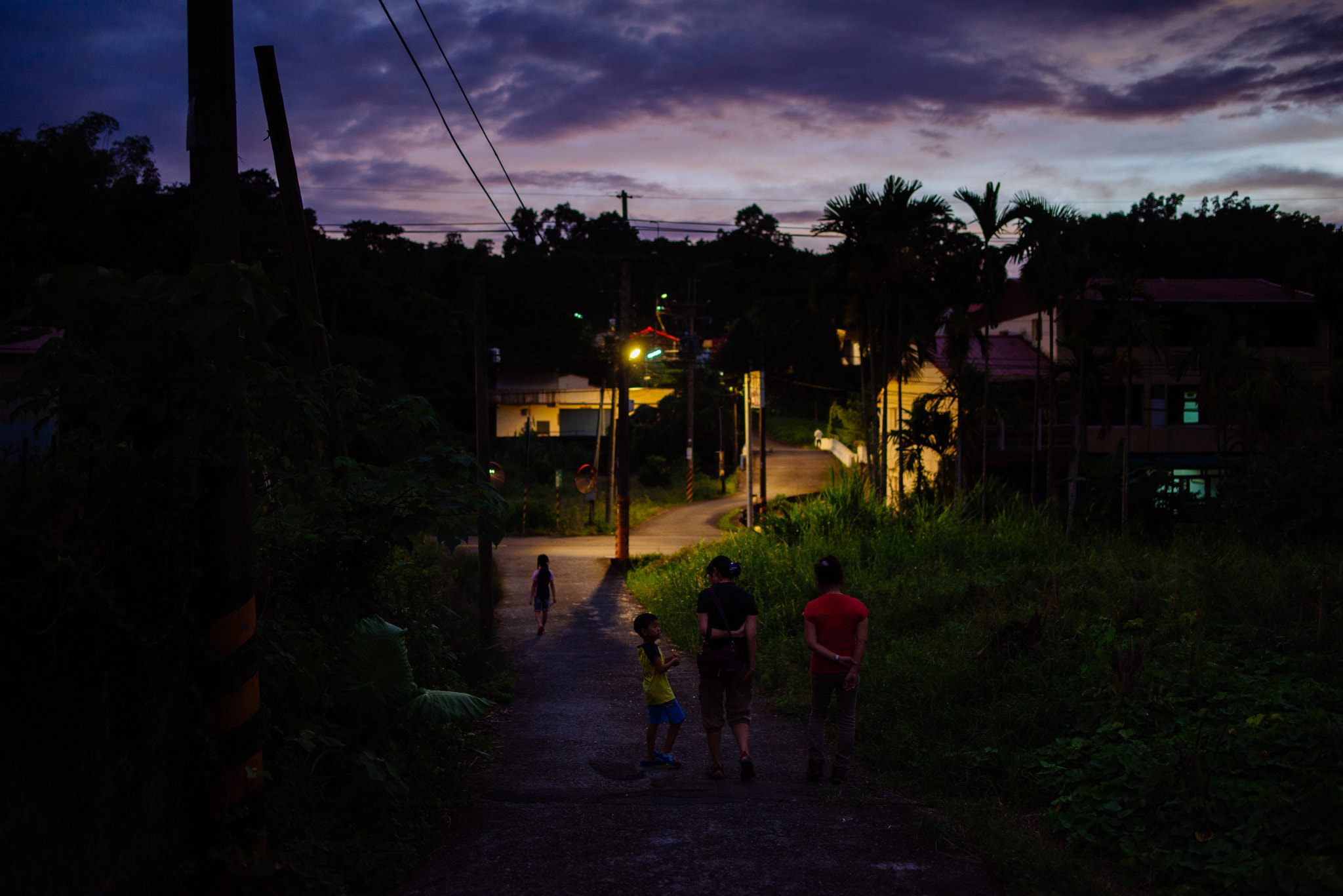 Nikon D610 + Tamron SP 35mm F1.8 Di VC USD sample photo. The twilight of the country photography