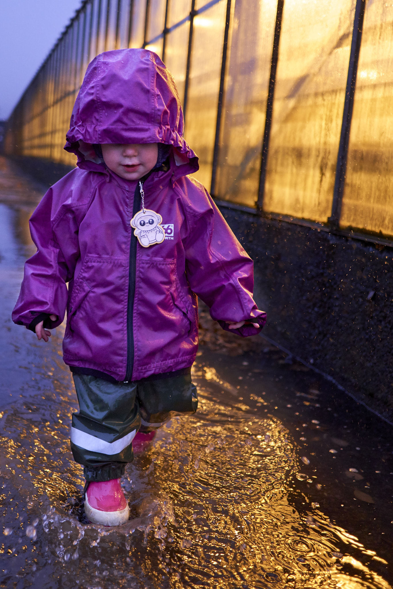 Sony Sonnar T* E 24mm F1.8 ZA sample photo. Fun in the rain photography