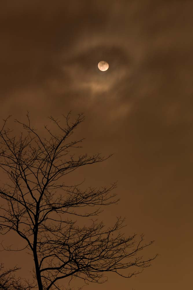 Canon EF 70-200mm F4L IS USM sample photo. Super moon? photography