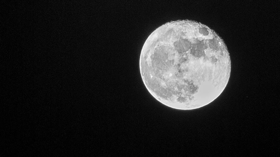 Nikon D80 sample photo. Luna photography