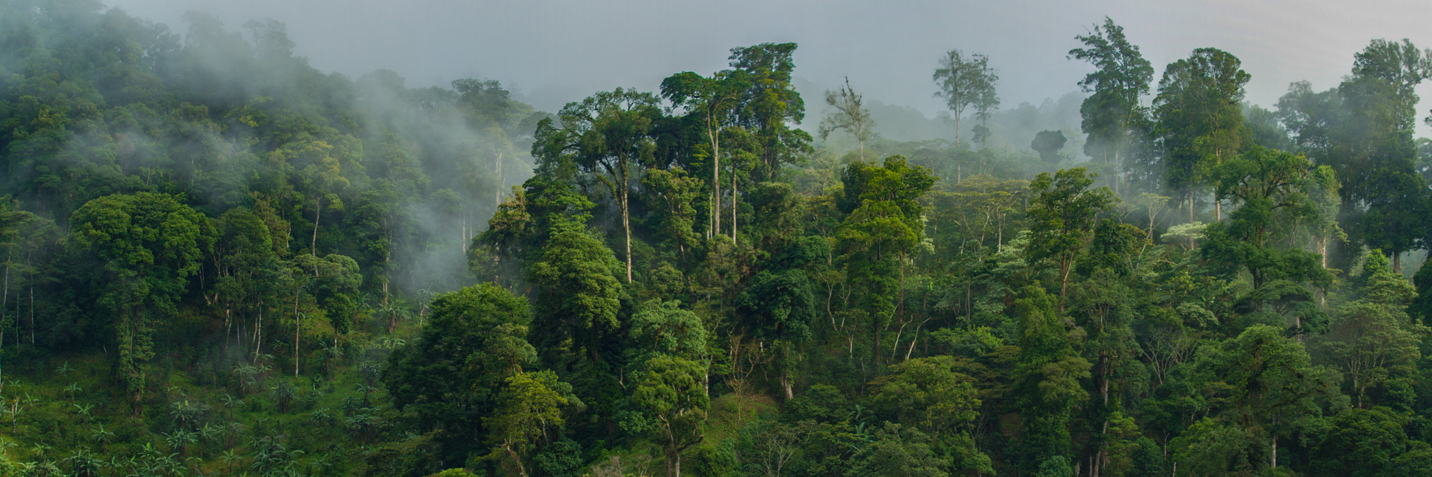 Canon EF 28-135mm F3.5-5.6 IS USM sample photo. The enchanted mountains of the nicaraguan highlands photography