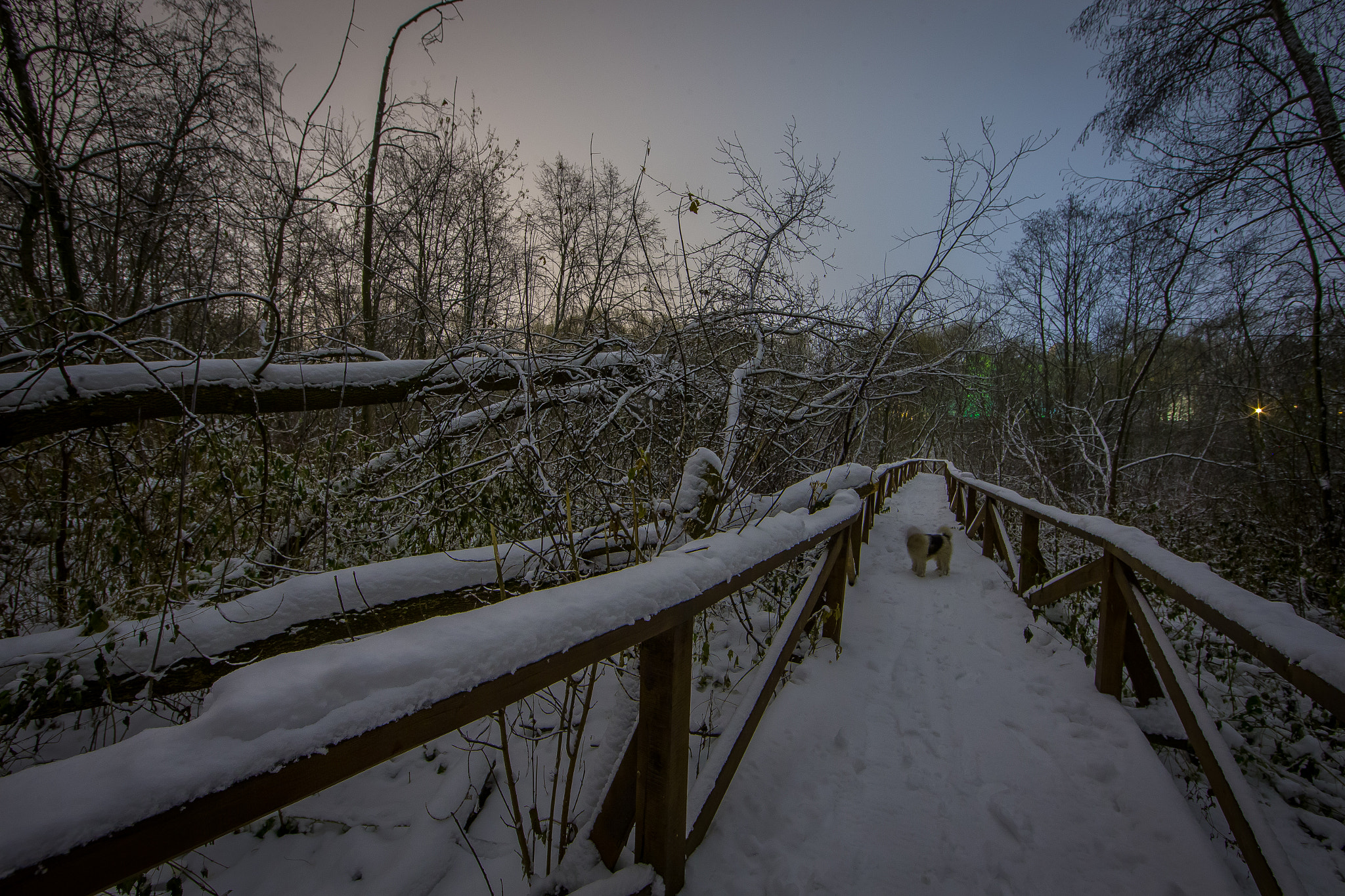 Canon EF 14mm F2.8L II USM sample photo. Moscow, elk island photography