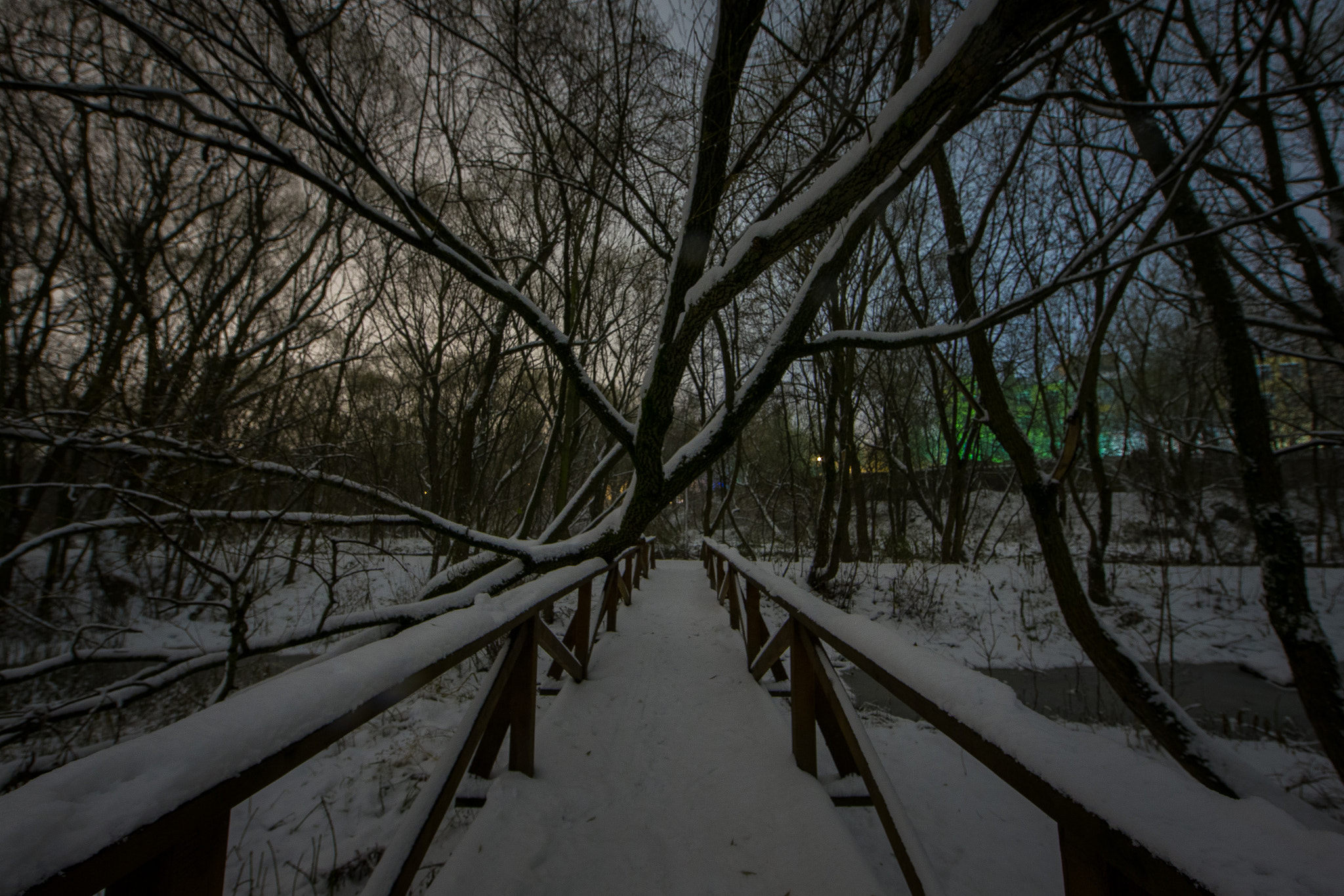Canon EOS-1D X + Canon EF 14mm F2.8L II USM sample photo. Moscow, elk island photography