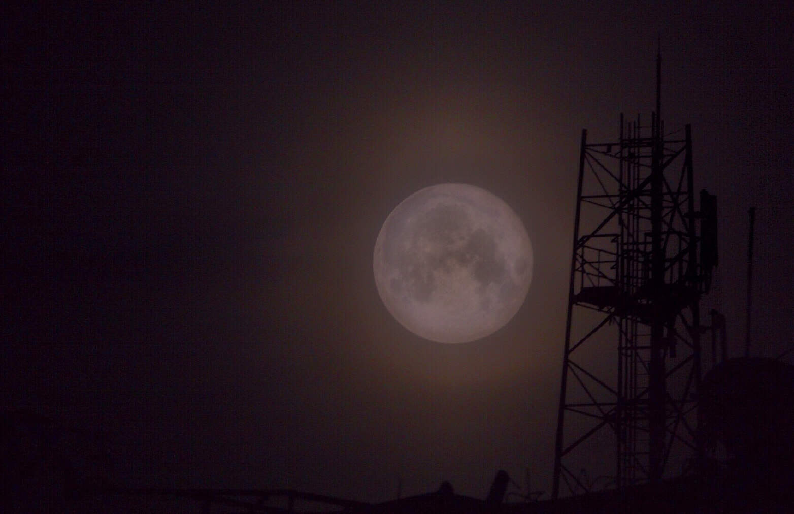Canon EF-S 55-250mm F4-5.6 IS STM sample photo
