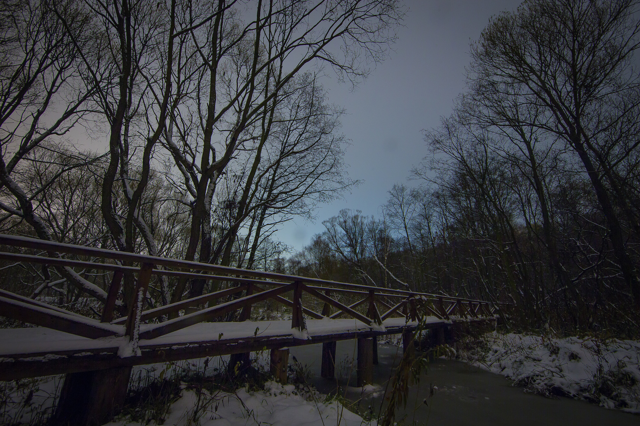 Canon EF 14mm F2.8L II USM sample photo. Moscow, elk island photography