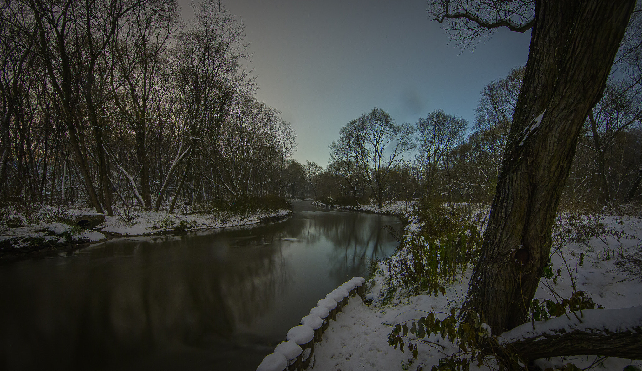 Canon EF 14mm F2.8L II USM sample photo. Moscow, elk island photography