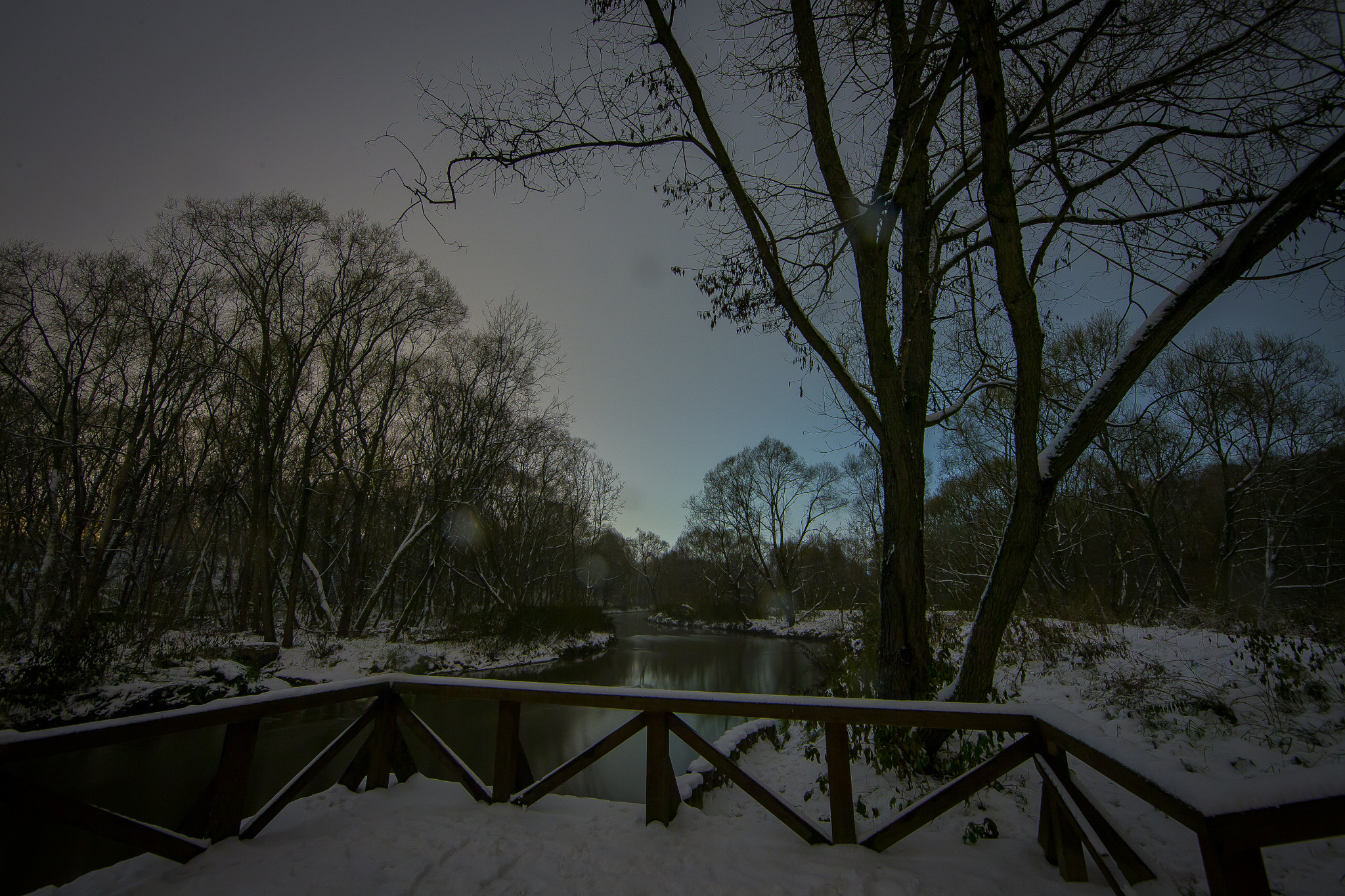 Canon EF 14mm F2.8L II USM sample photo. Moscow, elk island photography