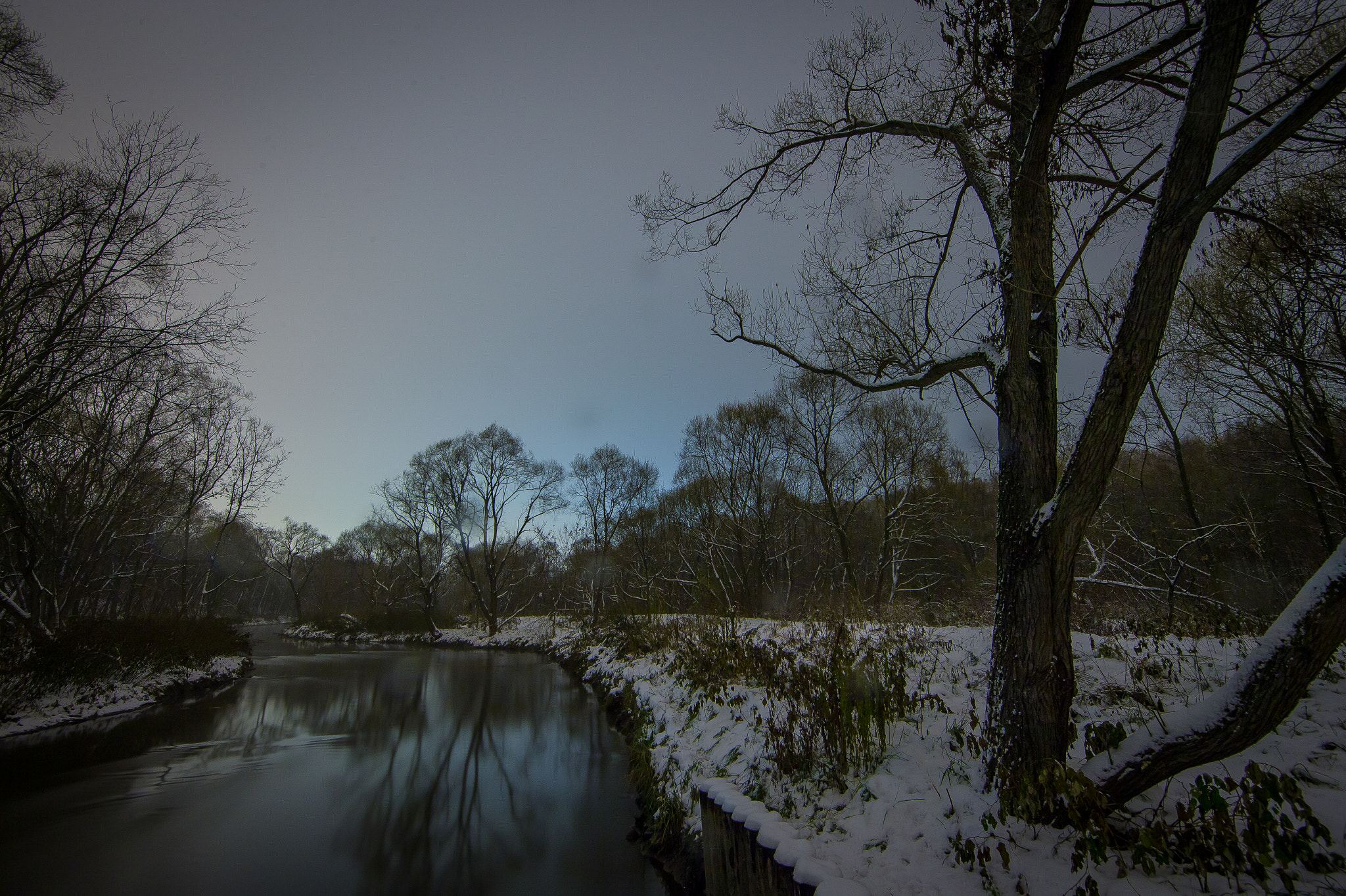 Canon EF 14mm F2.8L II USM sample photo. Moscow, elk island photography
