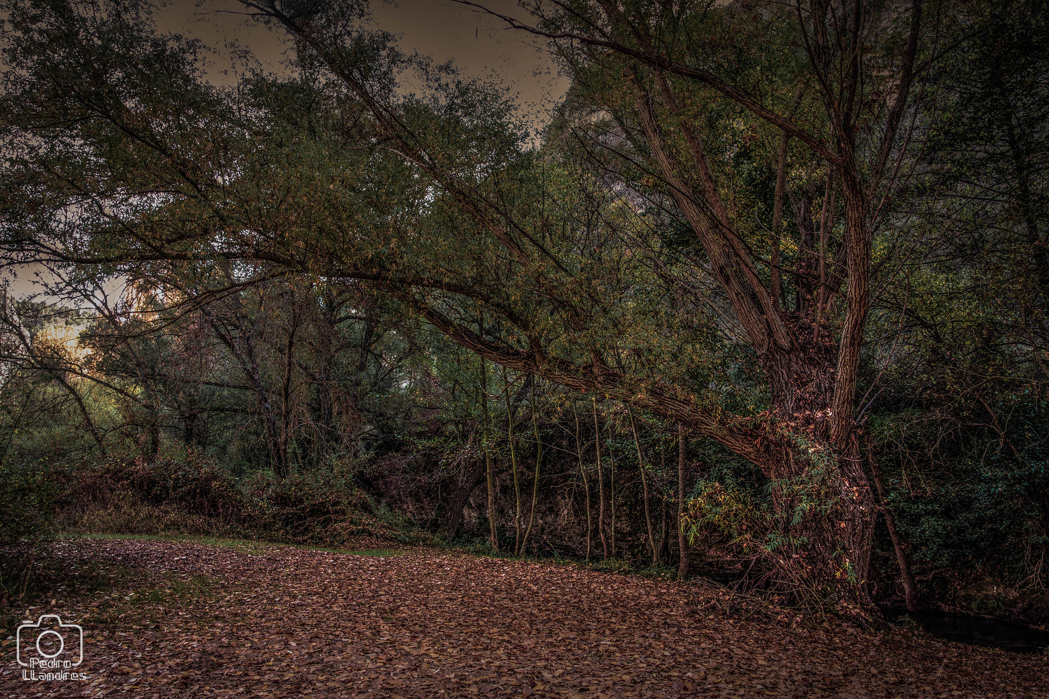 Canon EOS 50D sample photo. Hoces del rio duraton photography