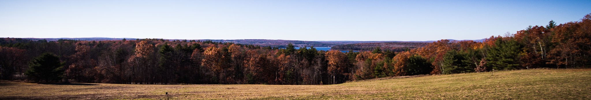 Sigma 10-20mm F4-5.6 EX DC HSM sample photo. In massachusetts they have some trees photography