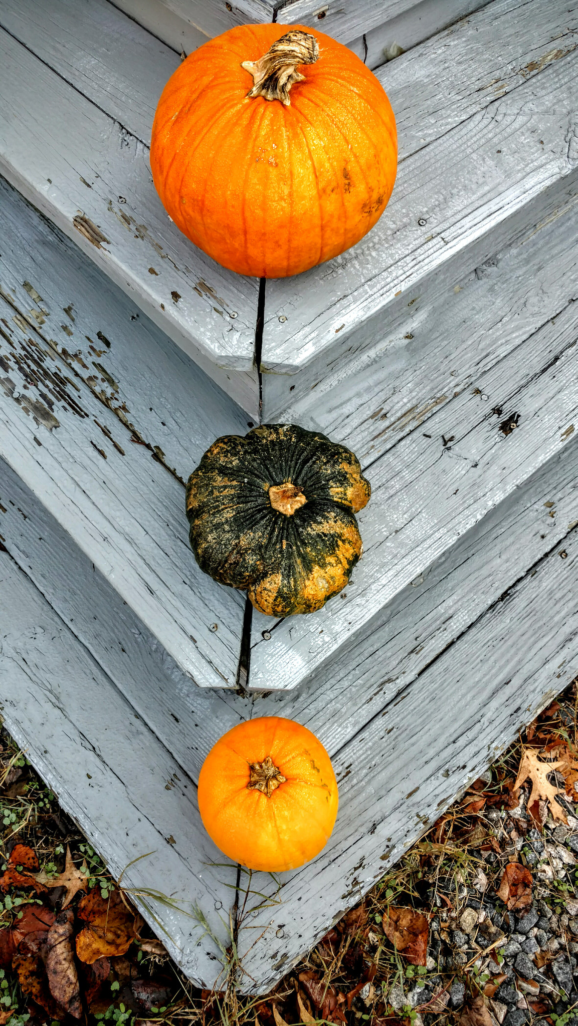 Motorola Moto X Pure Edition sample photo. Fall scene photography