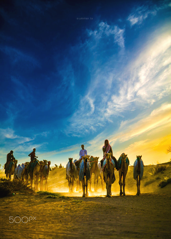 Canon EOS-1D C sample photo. Camel riders group photography