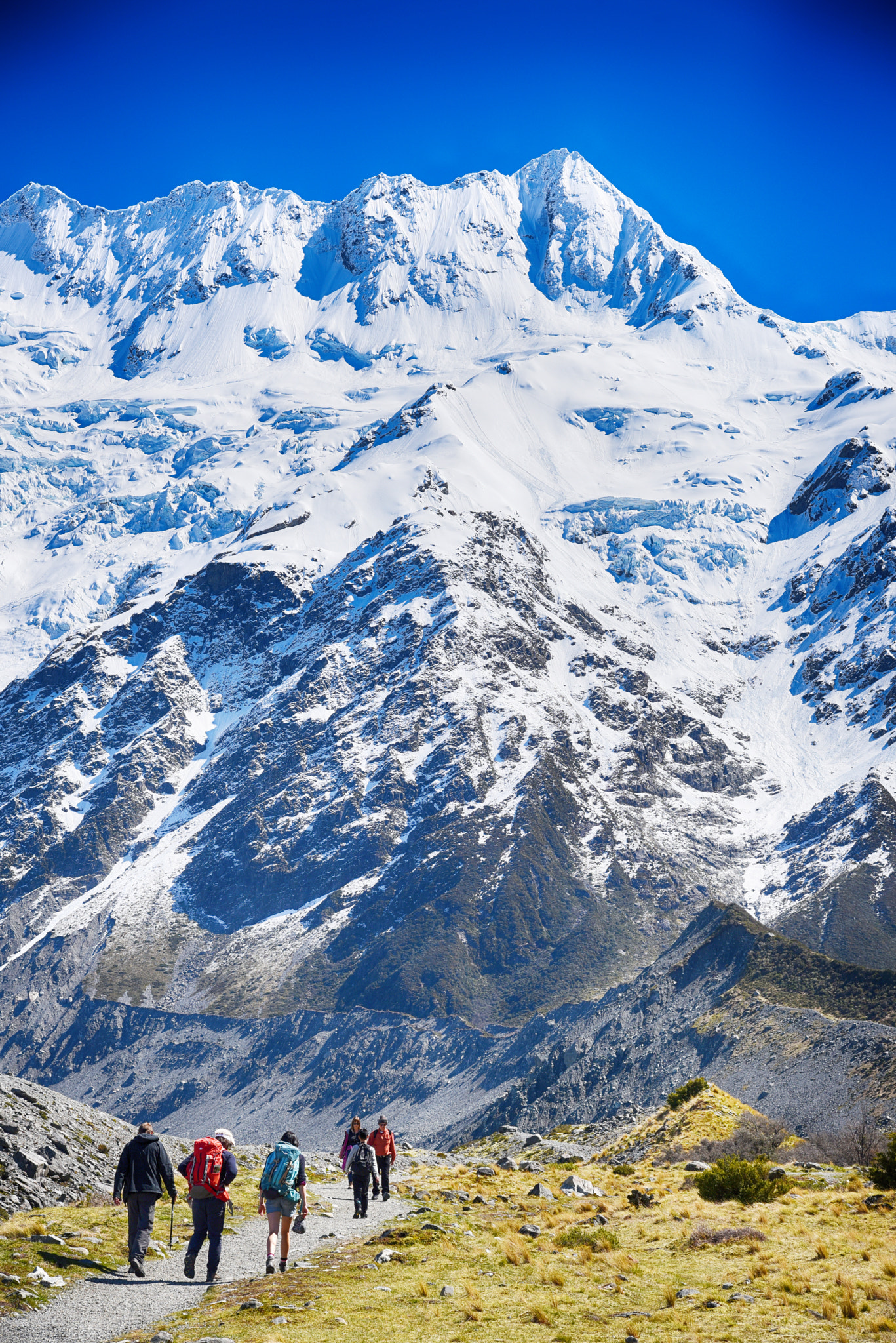 PC Micro-Nikkor 85mm f/2.8D sample photo. Mount cook and the hikers photography