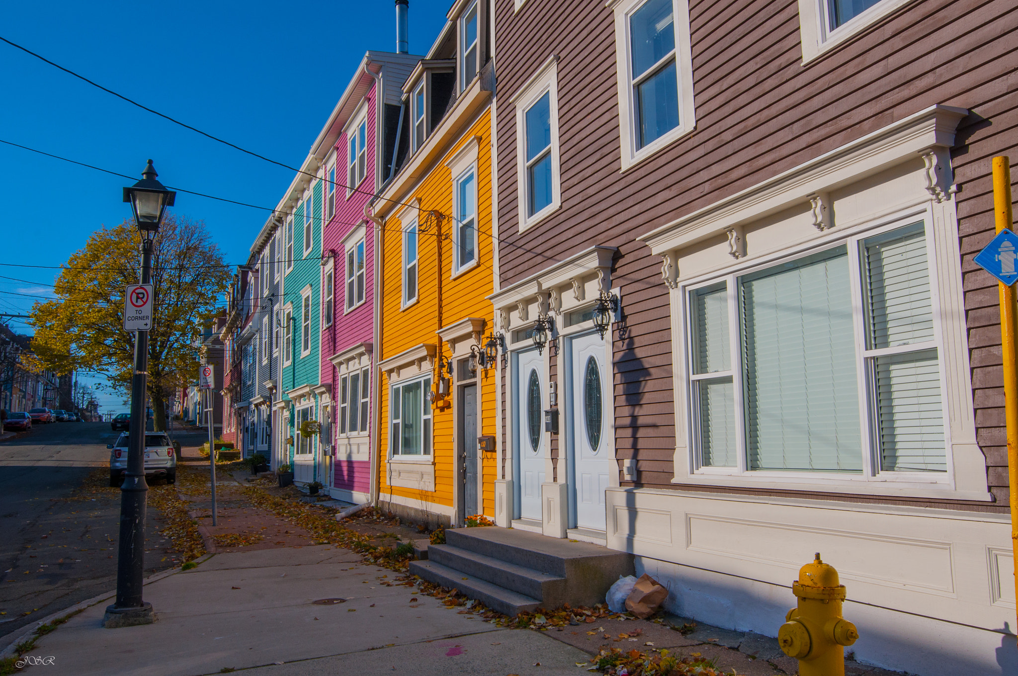 Nikon D5000 sample photo. Jelly bean row photography