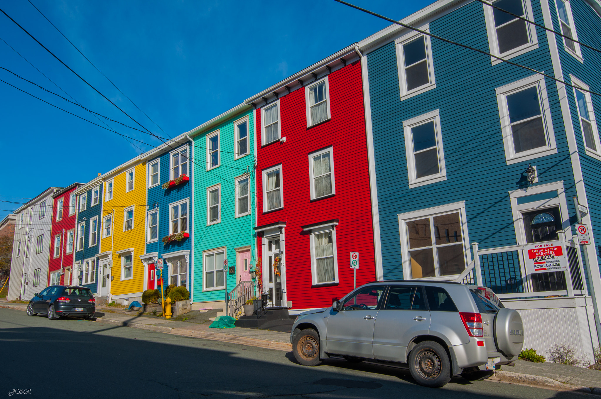 Nikon D5000 sample photo. Jelly bean row photography