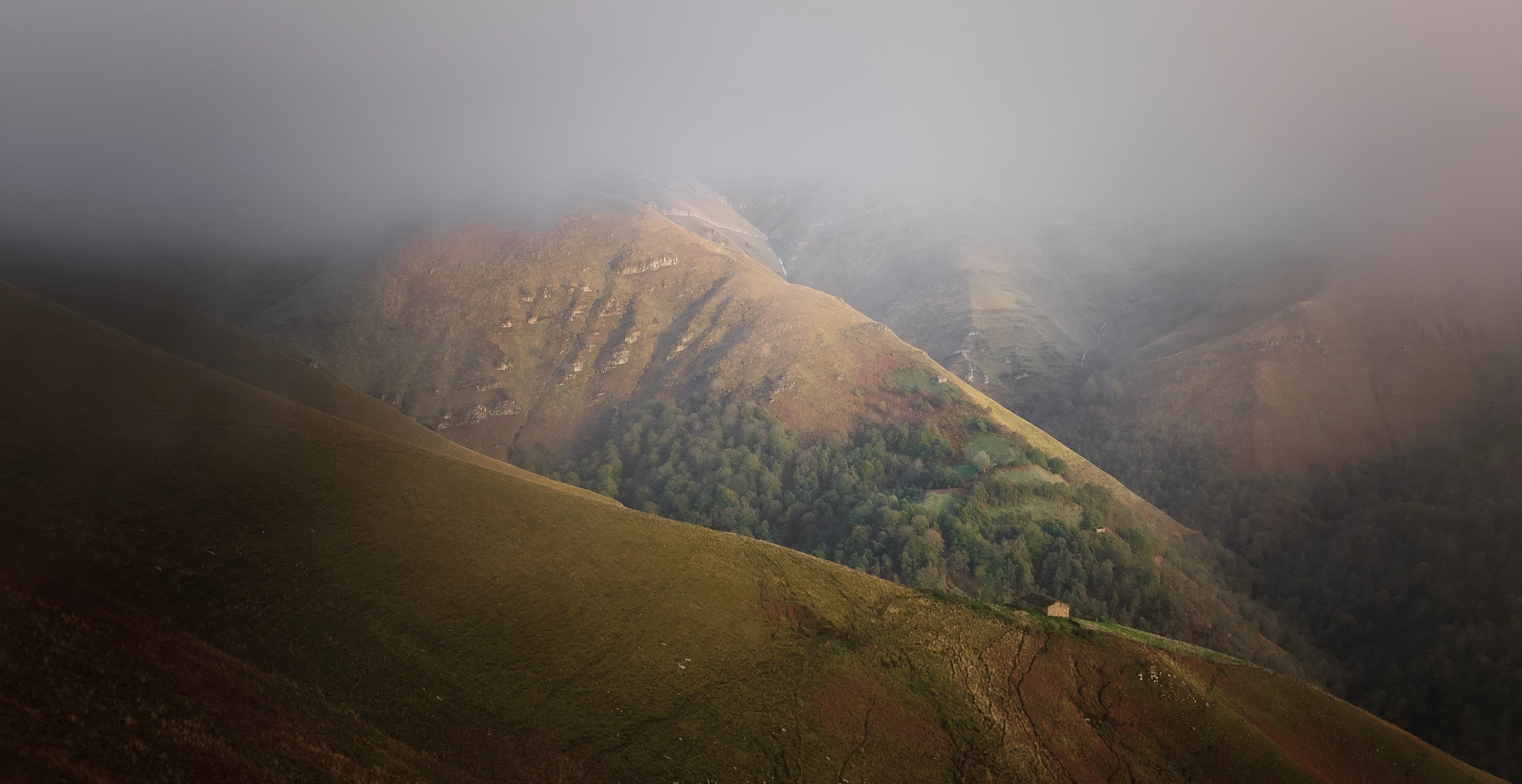 Nikon D300S sample photo. Under the fog. photography