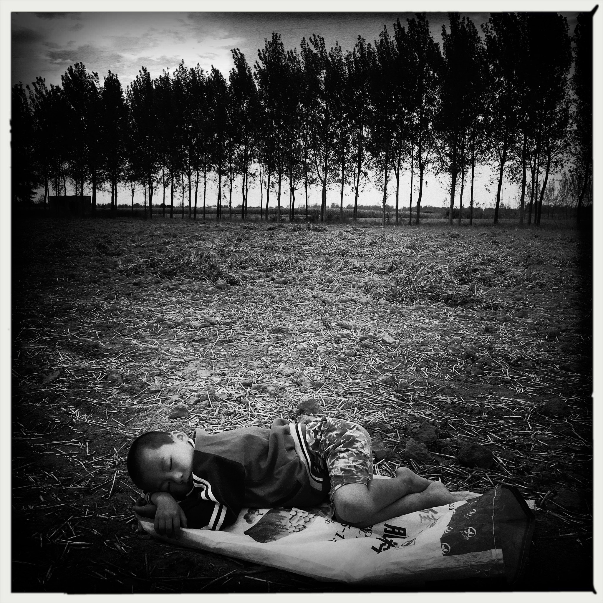 Hipstamatic 322 sample photo
