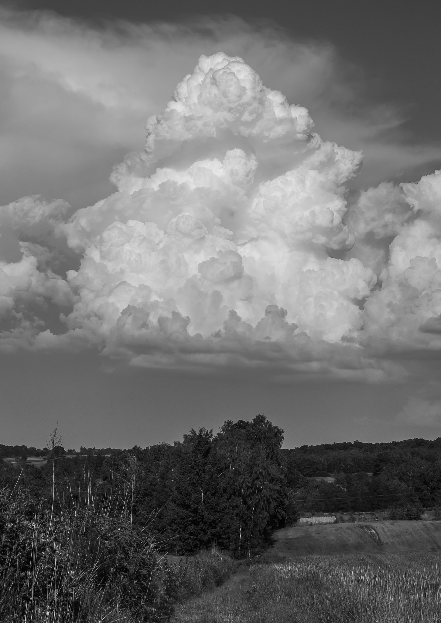 Pentax K-7 sample photo. Summer clouds photography