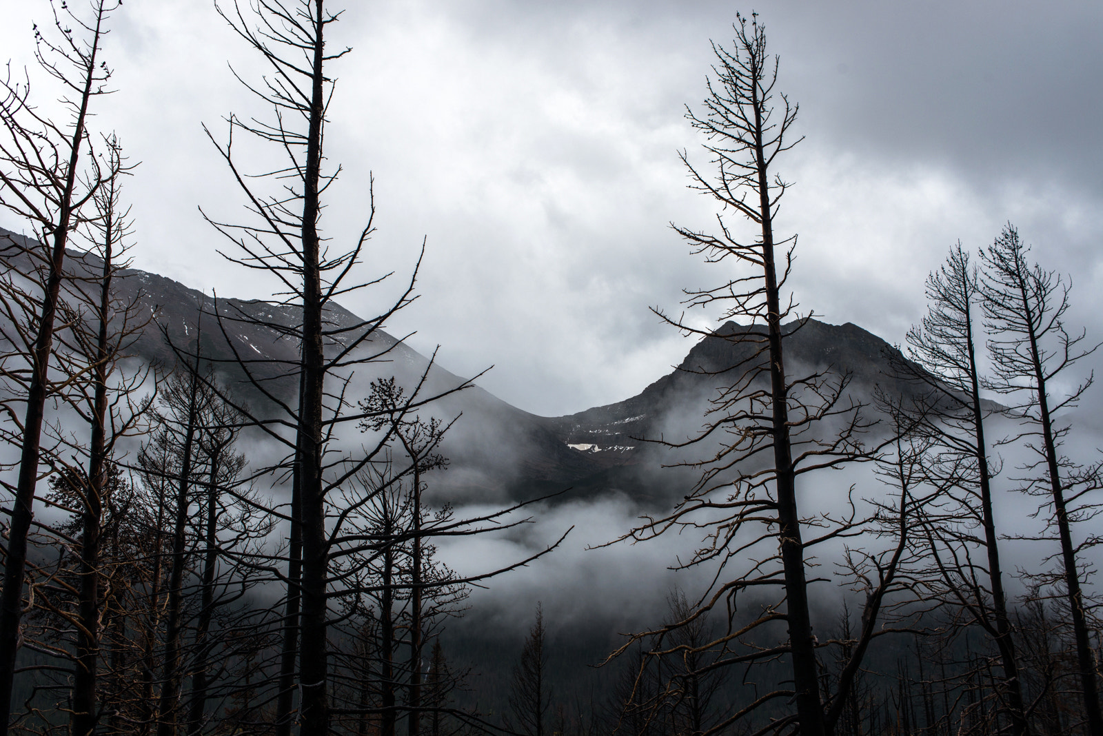 Nikon D800 sample photo. Glacier national park photography