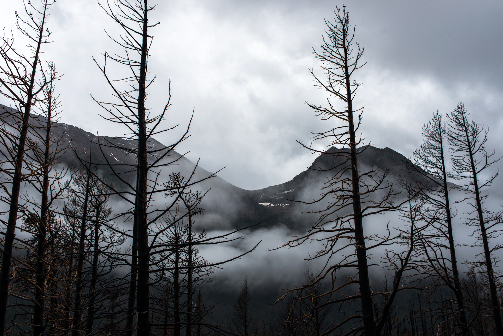 Nikon D800 + Nikon AF Nikkor 35mm F2D sample photo. Glacier national park photography