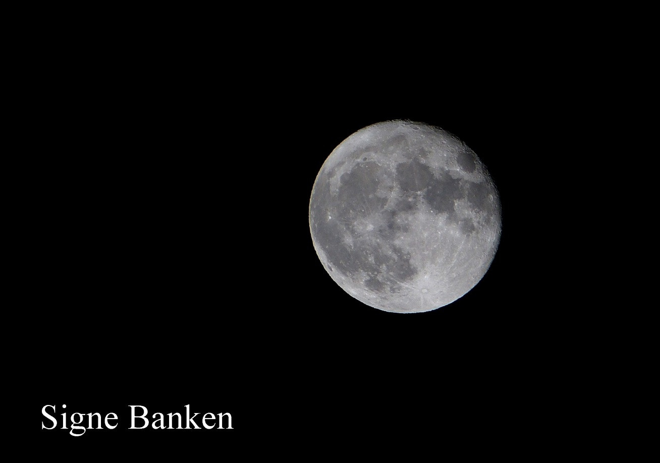 Leica V-Lux 3 sample photo. Månen 15 november 2016. photography