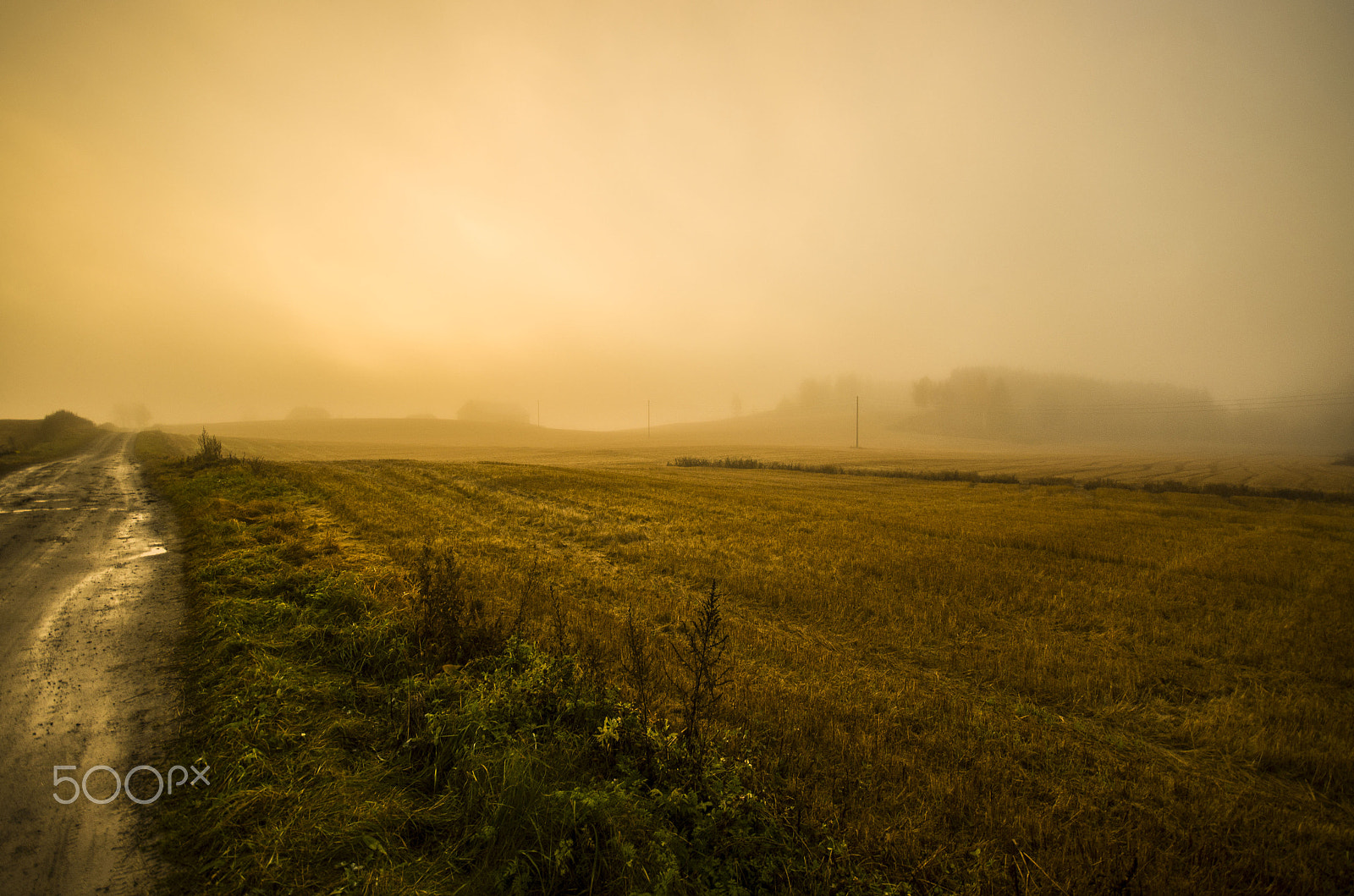 Pentax K-5 sample photo. Foggy fields photography