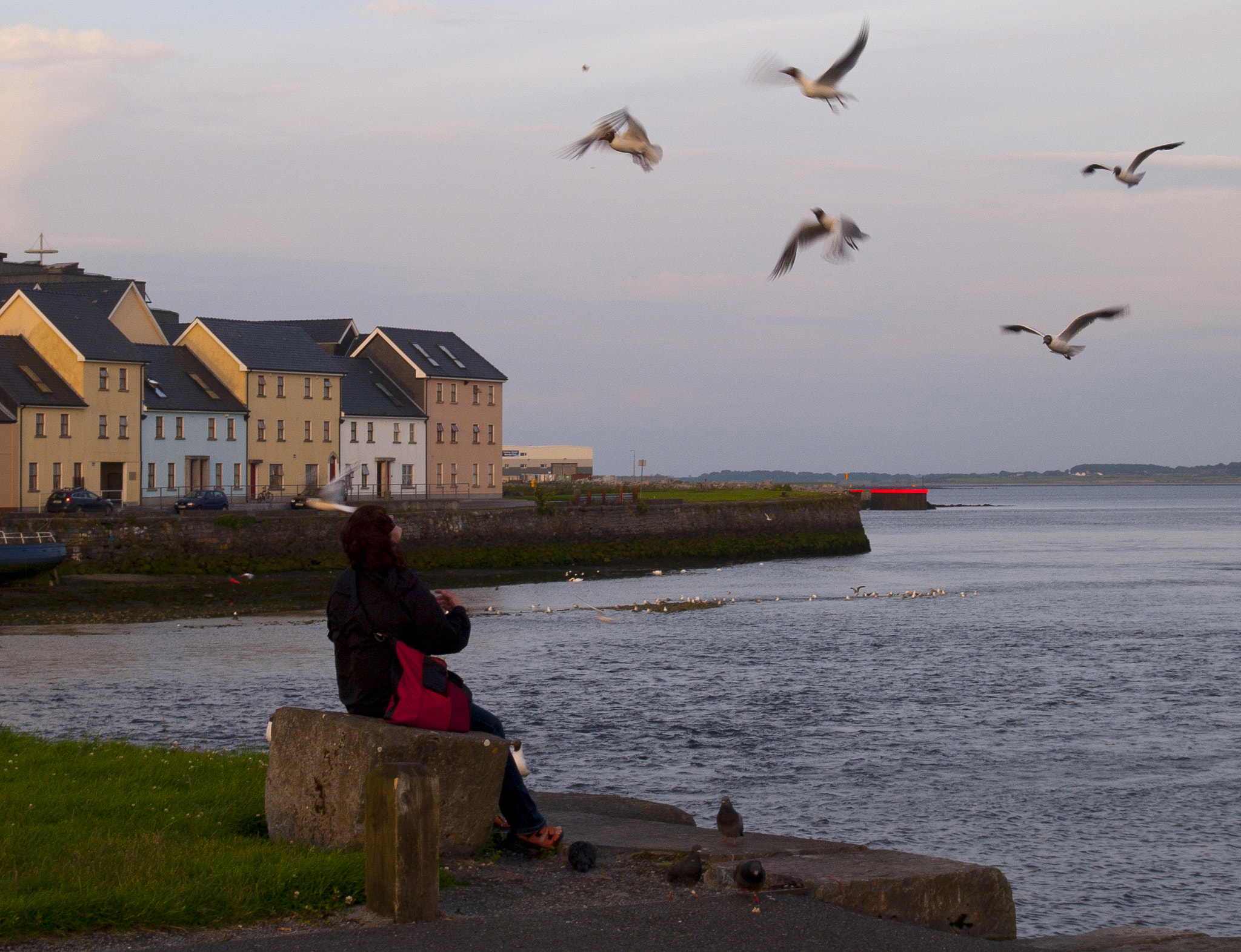 Olympus E-520 (EVOLT E-520) sample photo. Galway evening romantics photography