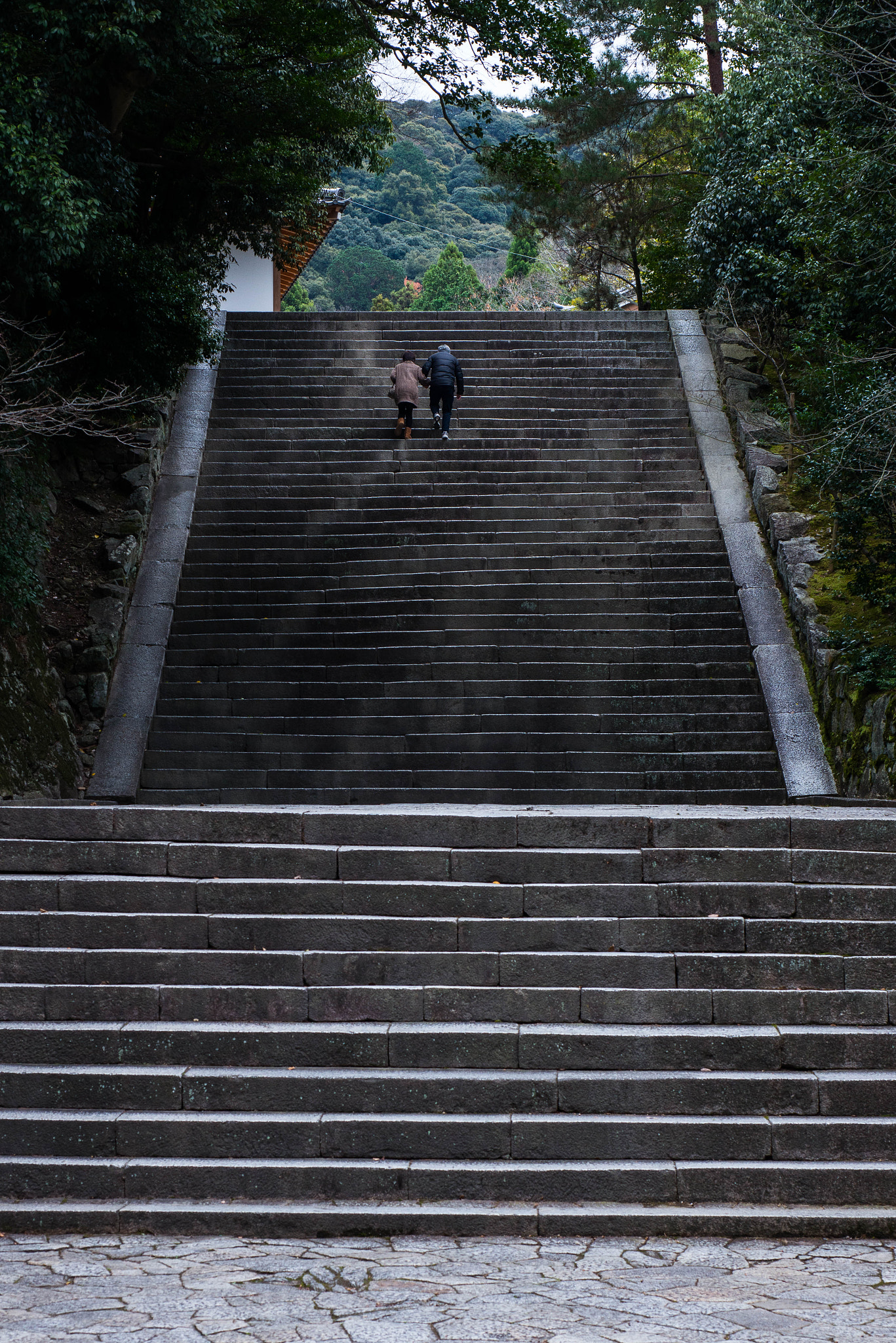 Nikon D800 + AF Micro-Nikkor 60mm f/2.8 sample photo. Ascending in kyoto photography