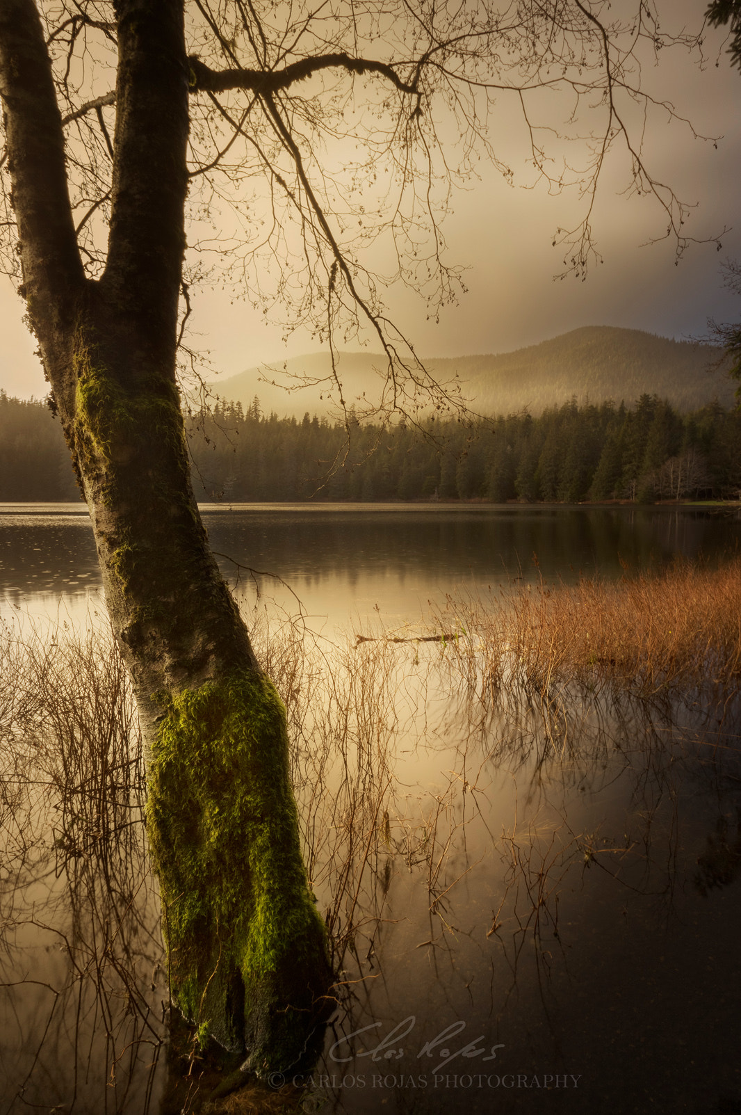 Pentax K-3 sample photo. Storm light photography