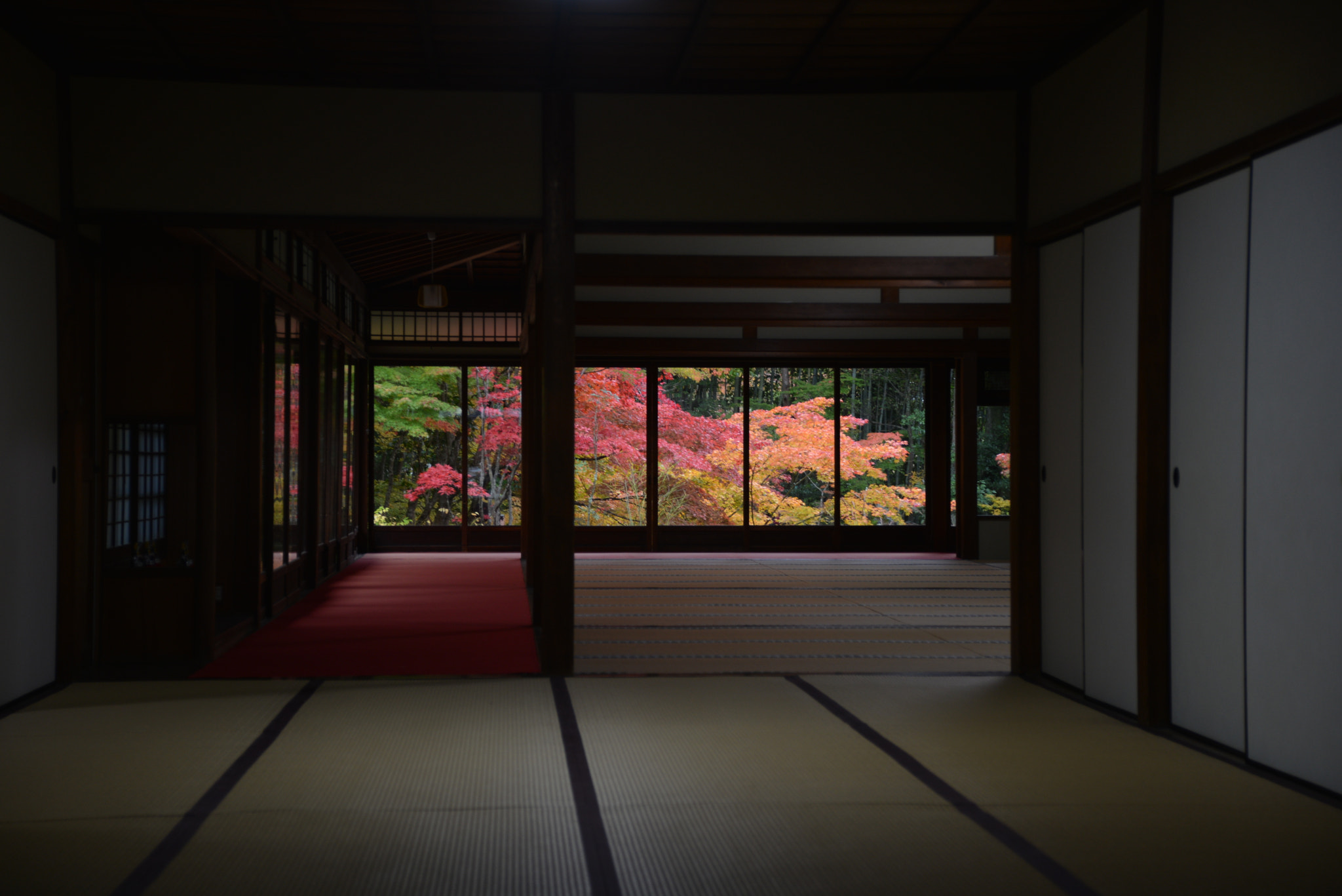 Nikon D600 sample photo. Kyoto in fall photography