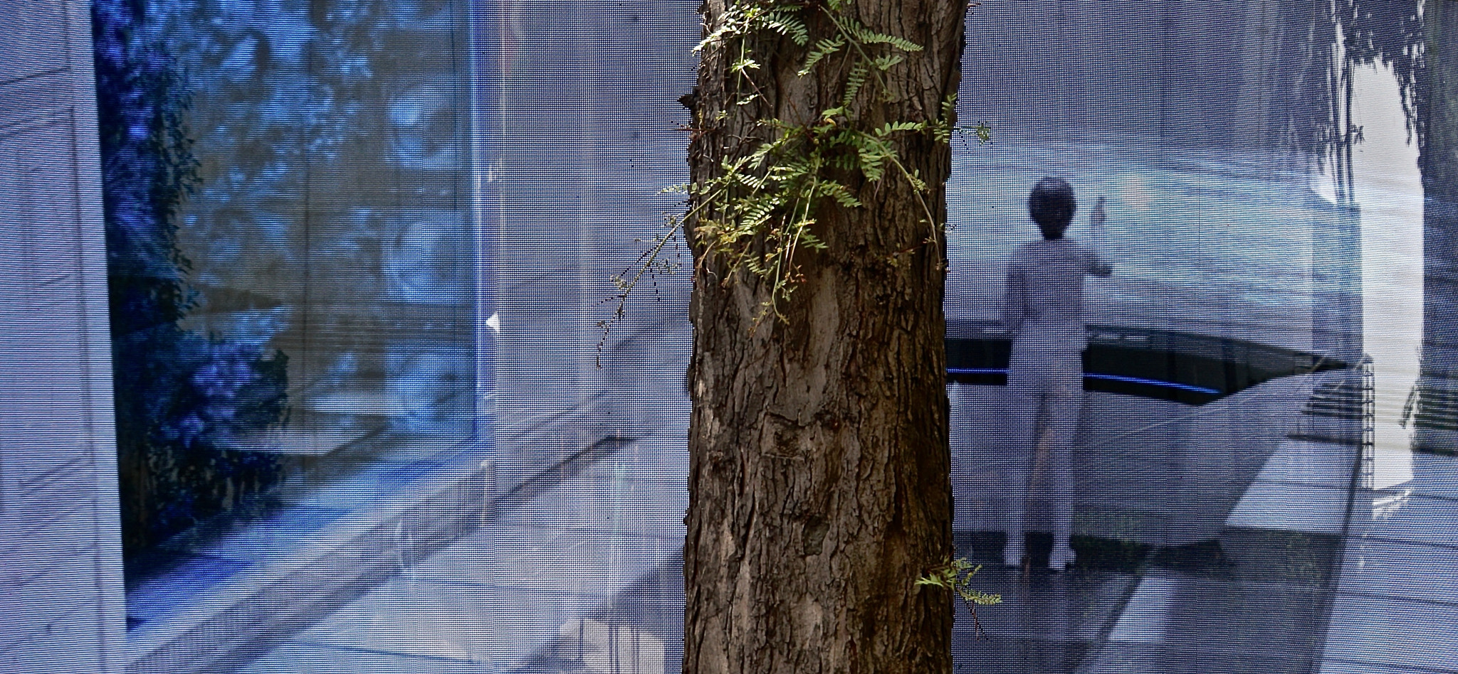 Tamron 18-270mm F3.5-6.3 Di II PZD sample photo. An ent goes through the country photography