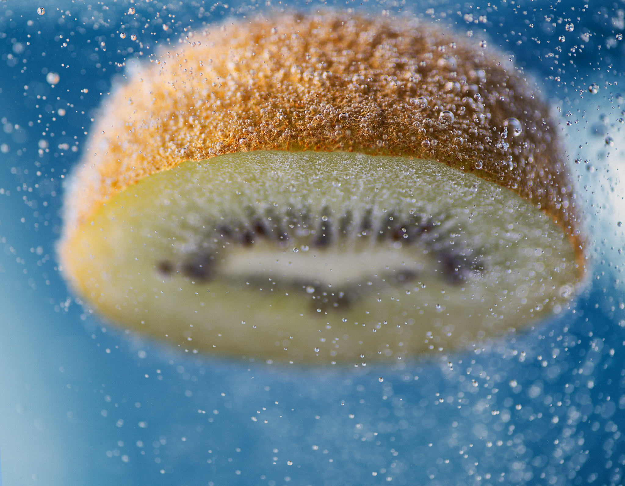 Canon EOS 6D + Tamron SP AF 90mm F2.8 Di Macro sample photo. Kiwi 4 photography