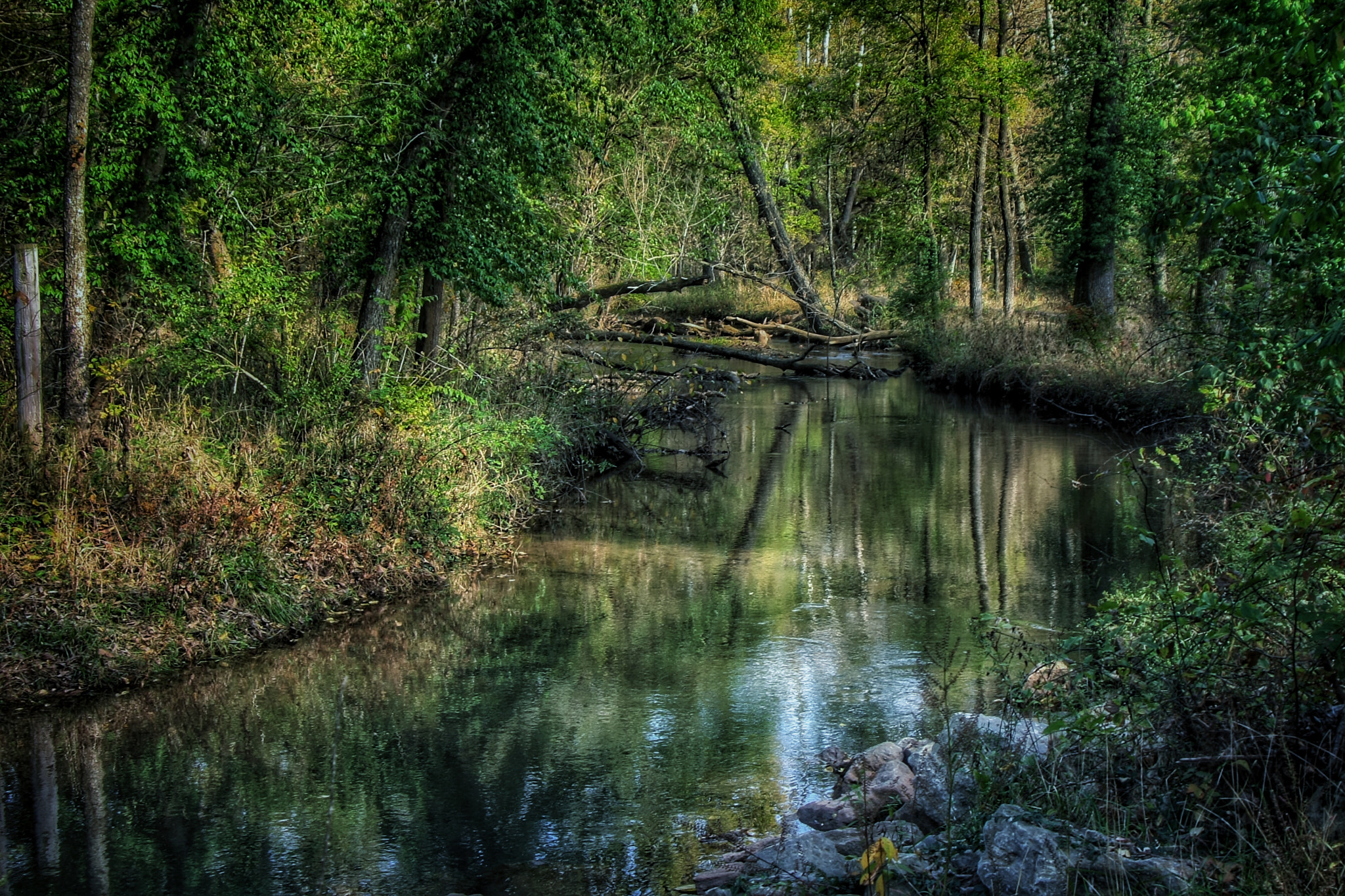 Canon EOS 1000D (EOS Digital Rebel XS / EOS Kiss F) sample photo. Indian summer at ritter springs photography