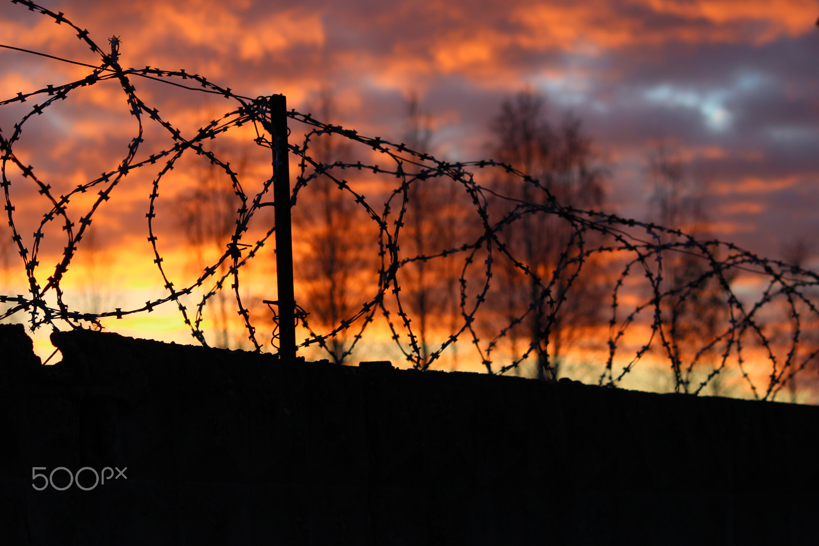 Canon EF 135mm F2.8 SF sample photo. Barbed wire on the fence  the background of sunset. photography