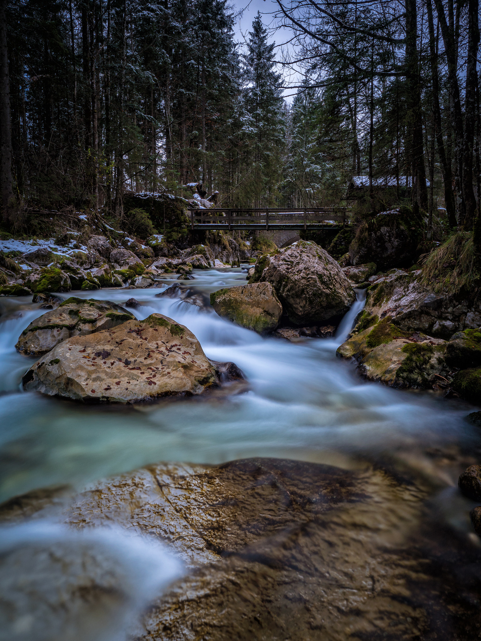 Panasonic Lumix DMC-GX8 + Olympus M.Zuiko Digital ED 12-40mm F2.8 Pro sample photo. Die magie des waldes photography