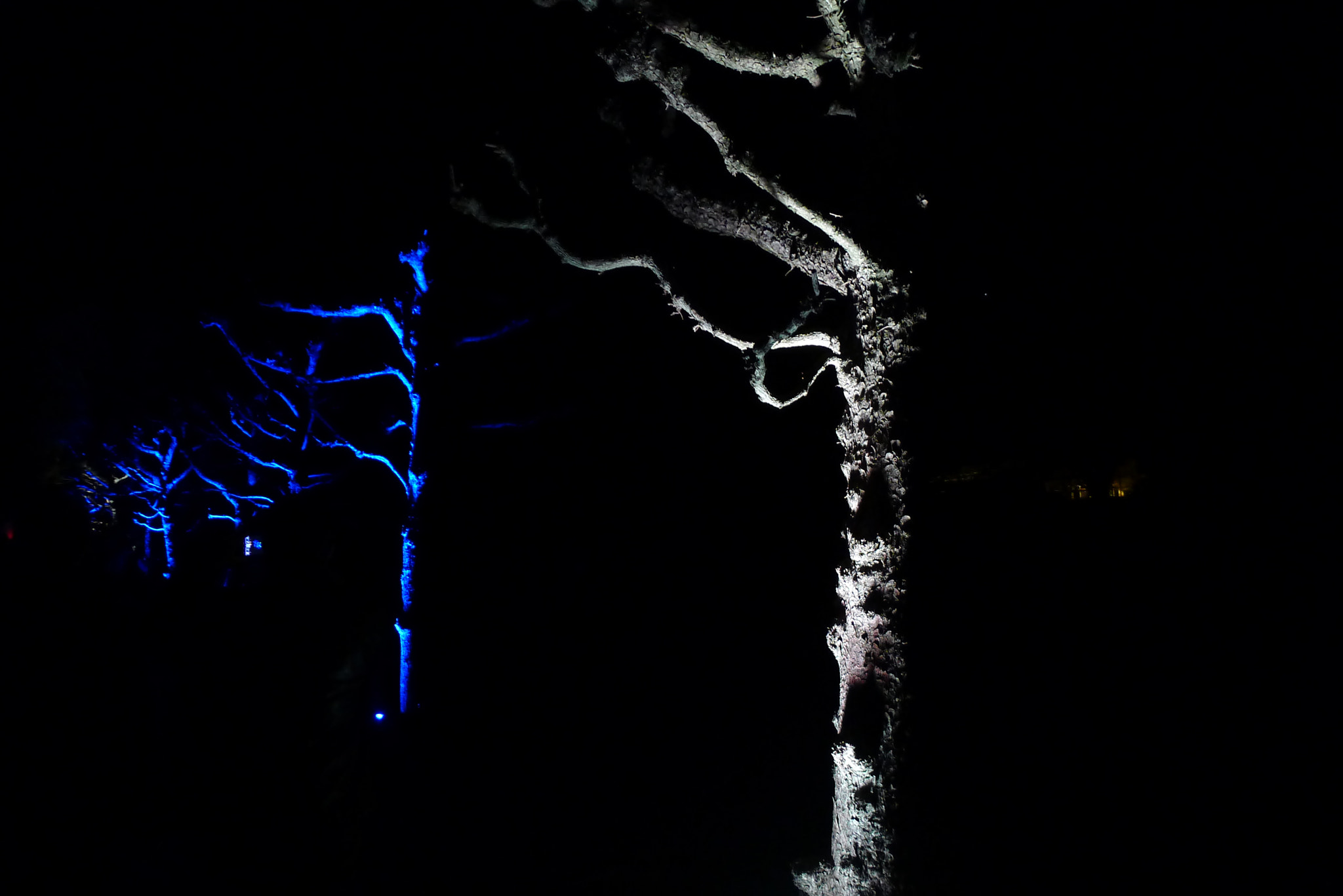 Leica D-LUX 5 sample photo. Darkness my old friend ... photography