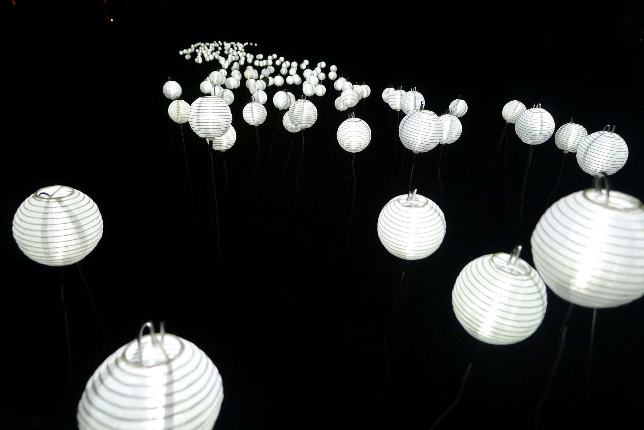 Leica D-LUX 5 sample photo. Highway of light photography