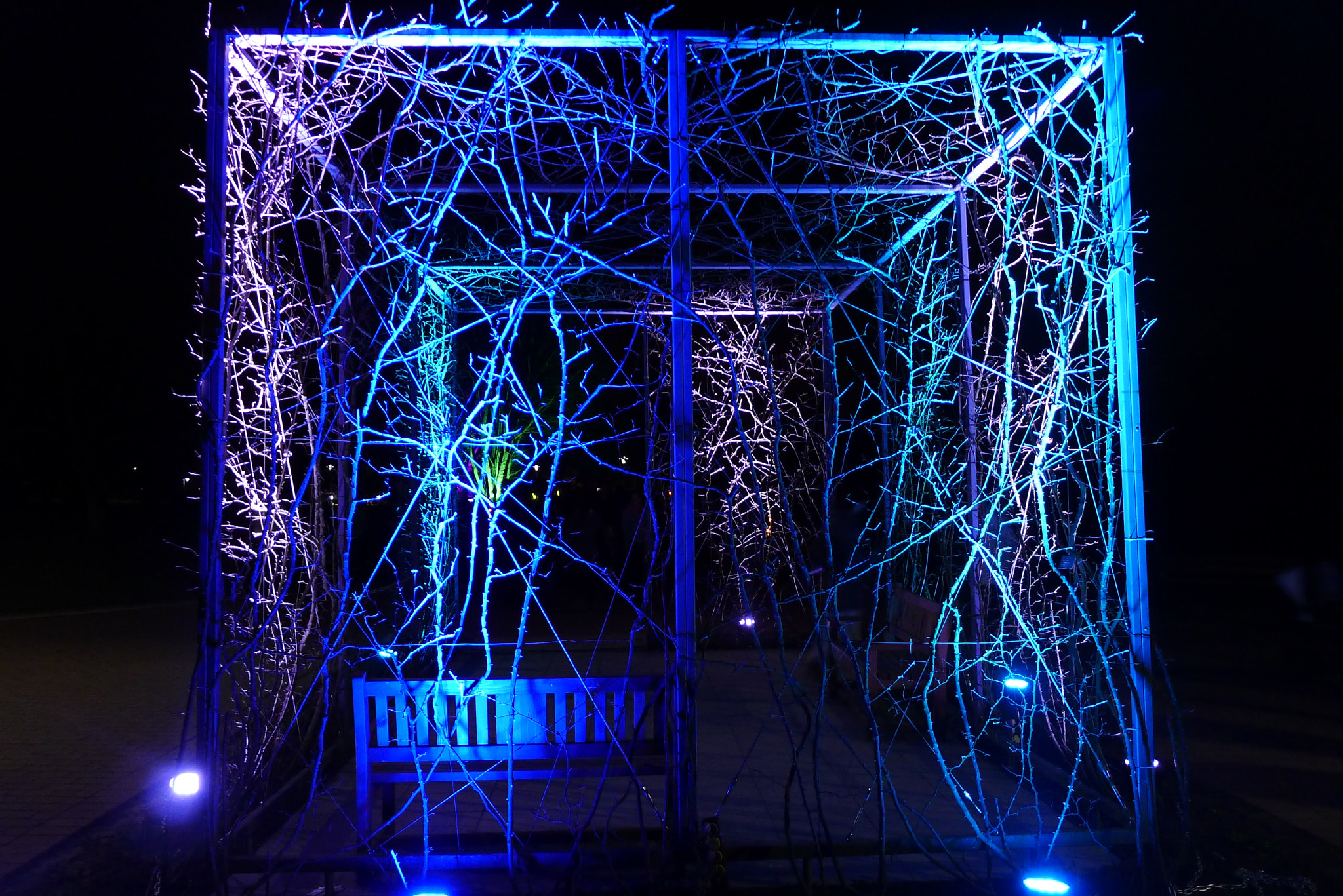 Leica D-LUX 5 sample photo. Caged universe photography
