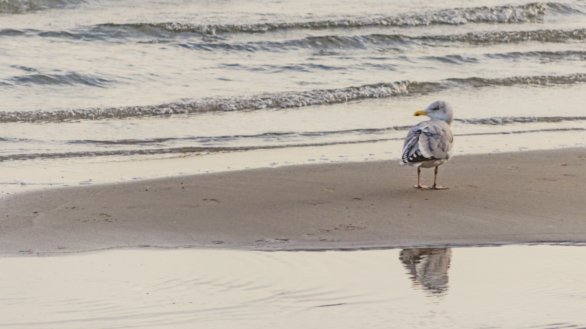 Sigma 18-200mm f/3.5-6.3 DC OS sample photo. A simple moment photography