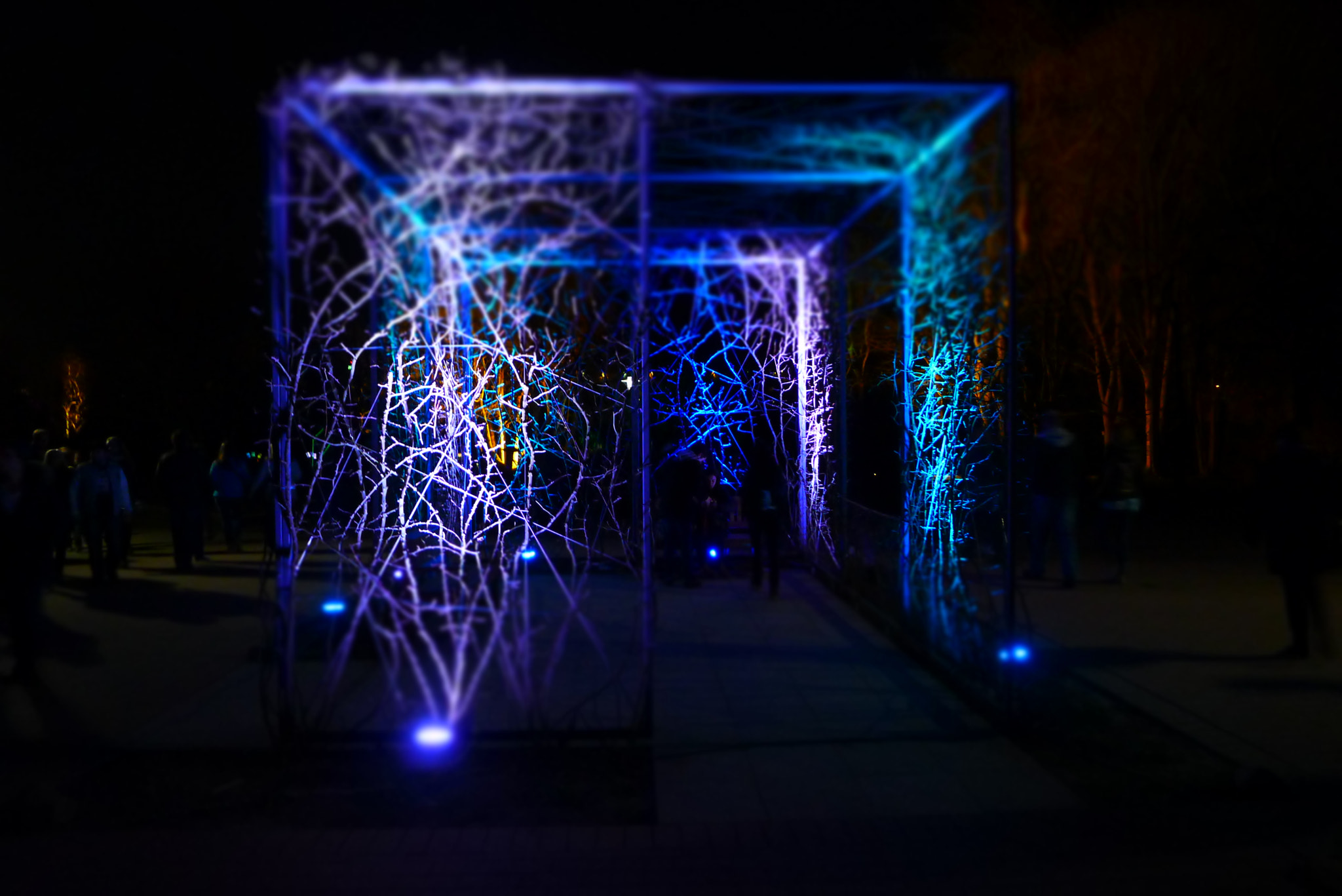 Leica D-LUX 5 sample photo. Another universe to discover photography