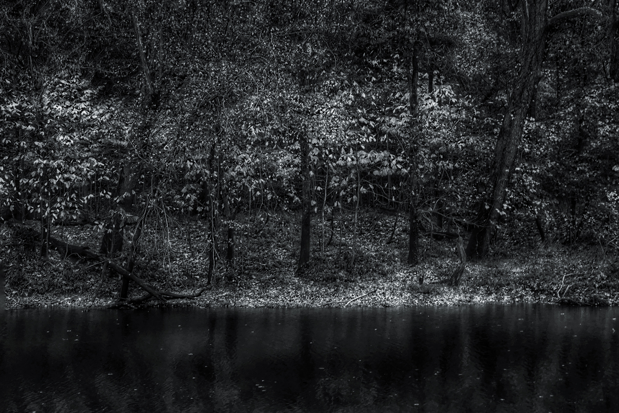 Sony Cyber-shot DSC-WX350 + Sony 25-500mm F3.5-6.5 sample photo. Changing seasons along the river photography